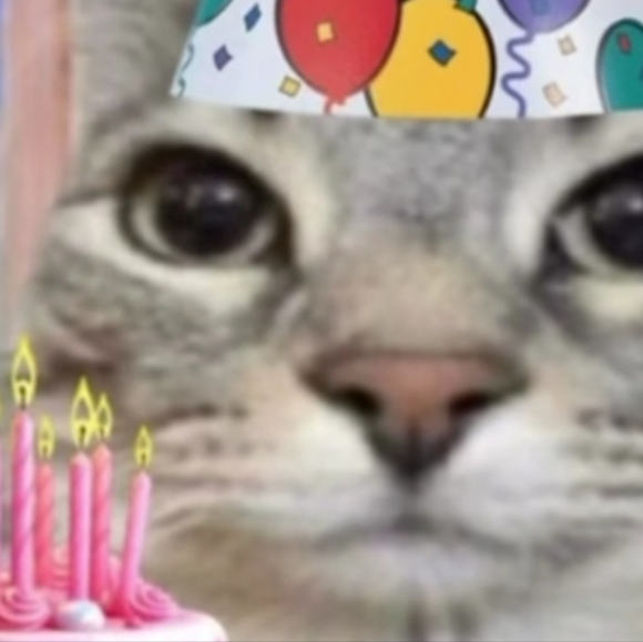 My Bio - Picture 2 of 8